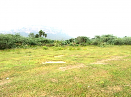 3) Li Id 226 - Pic 4.JPG